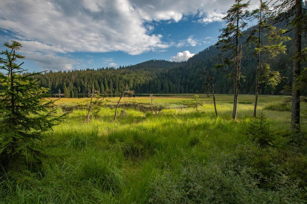 Wander Und Aktiv Hotel Roesslwirt Lam Luaran gambar